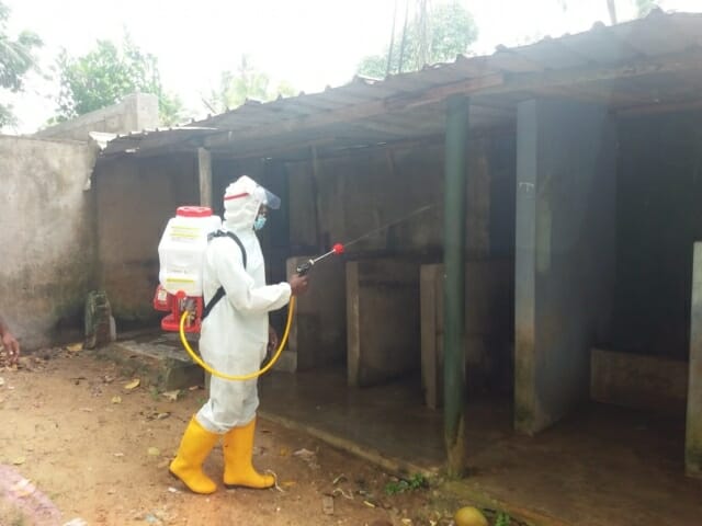 dengue-2