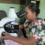 C2R-Hond-malaria-thumb