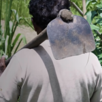 GC-C2R-Hardy-Nexus-thumb