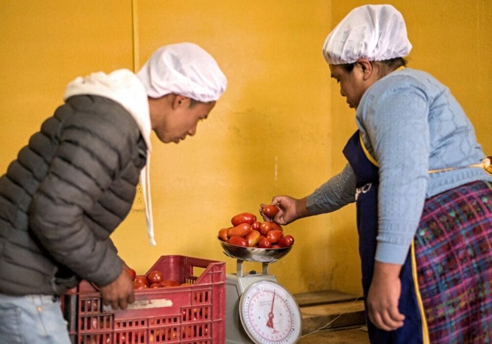 School meals program